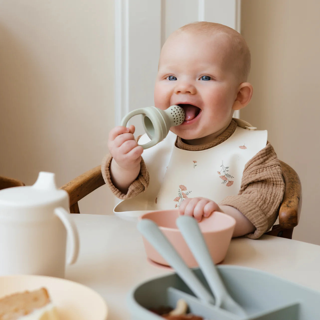 silicone fresh food feeder (2 pack)