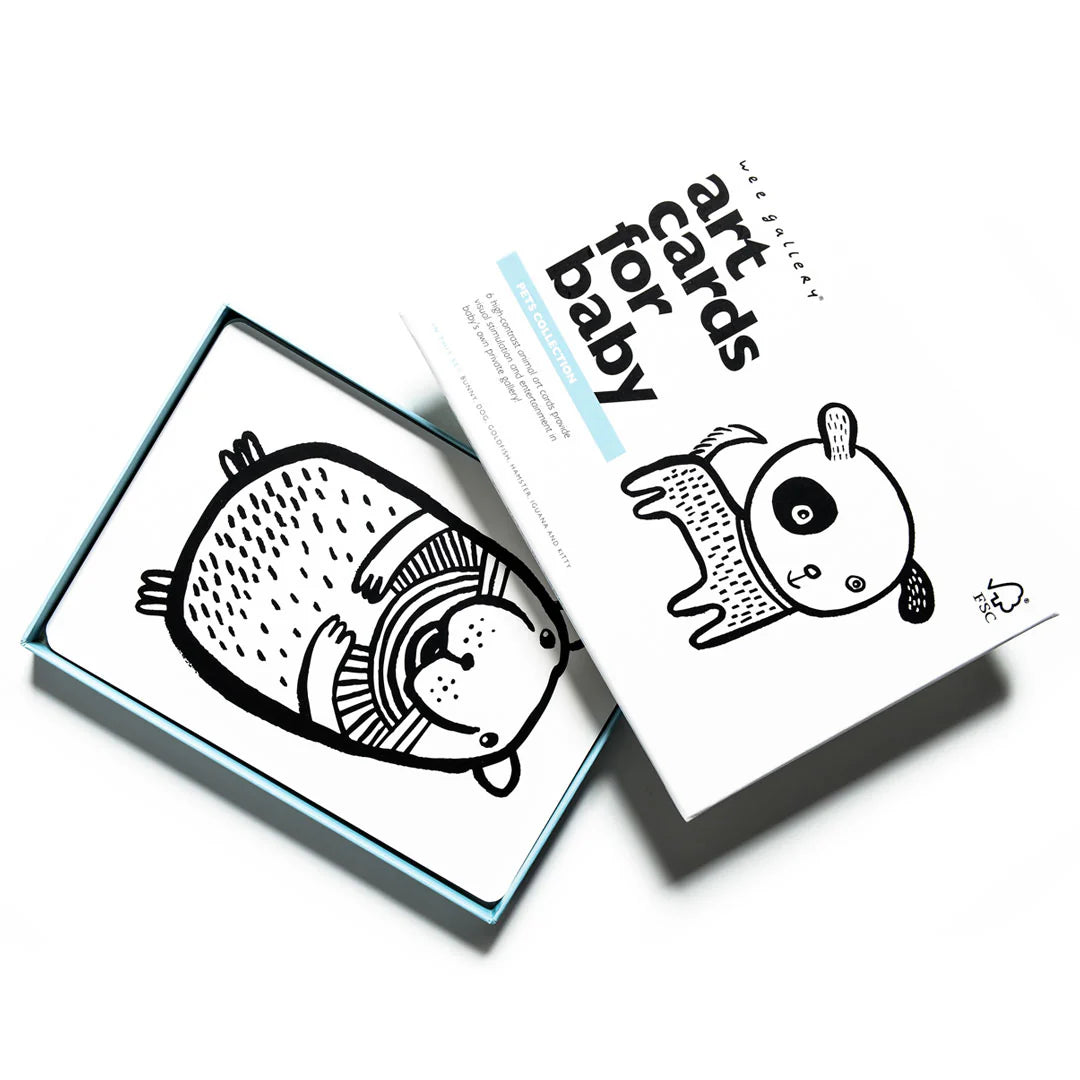 art cards for baby