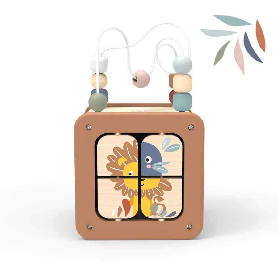 5 in 1 activity cube