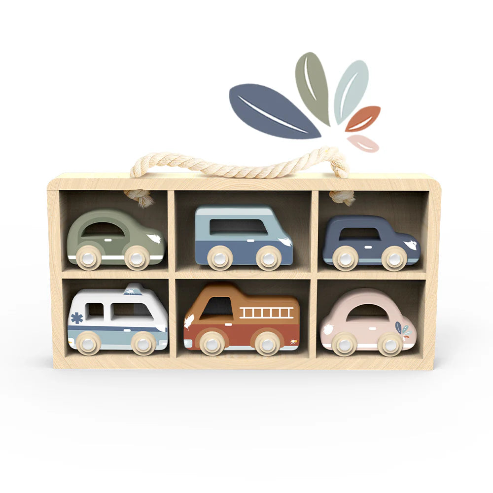 car display case