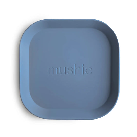 square dinnerware plate, set of 2