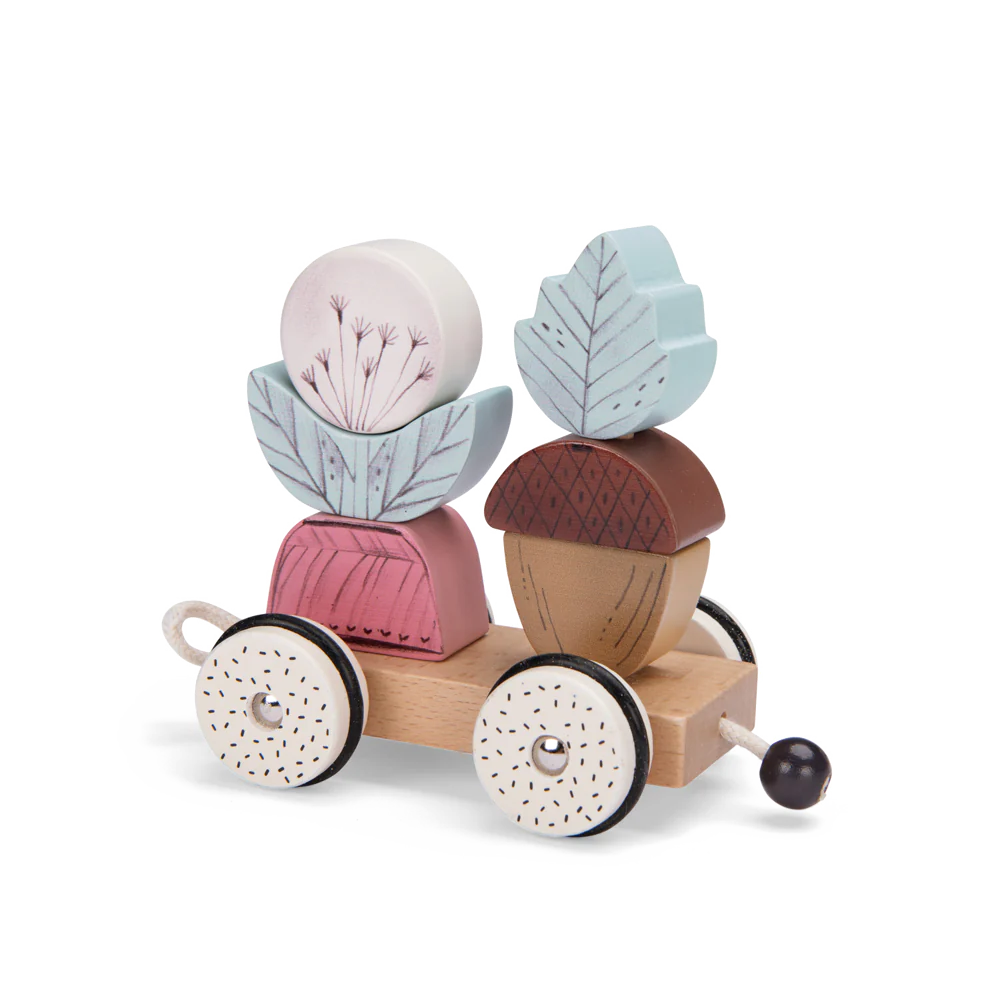 pull along activity train "after the rain" collection