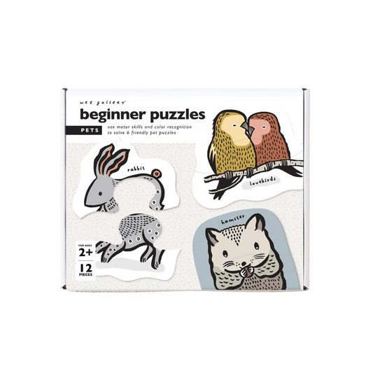 beginner puzzle