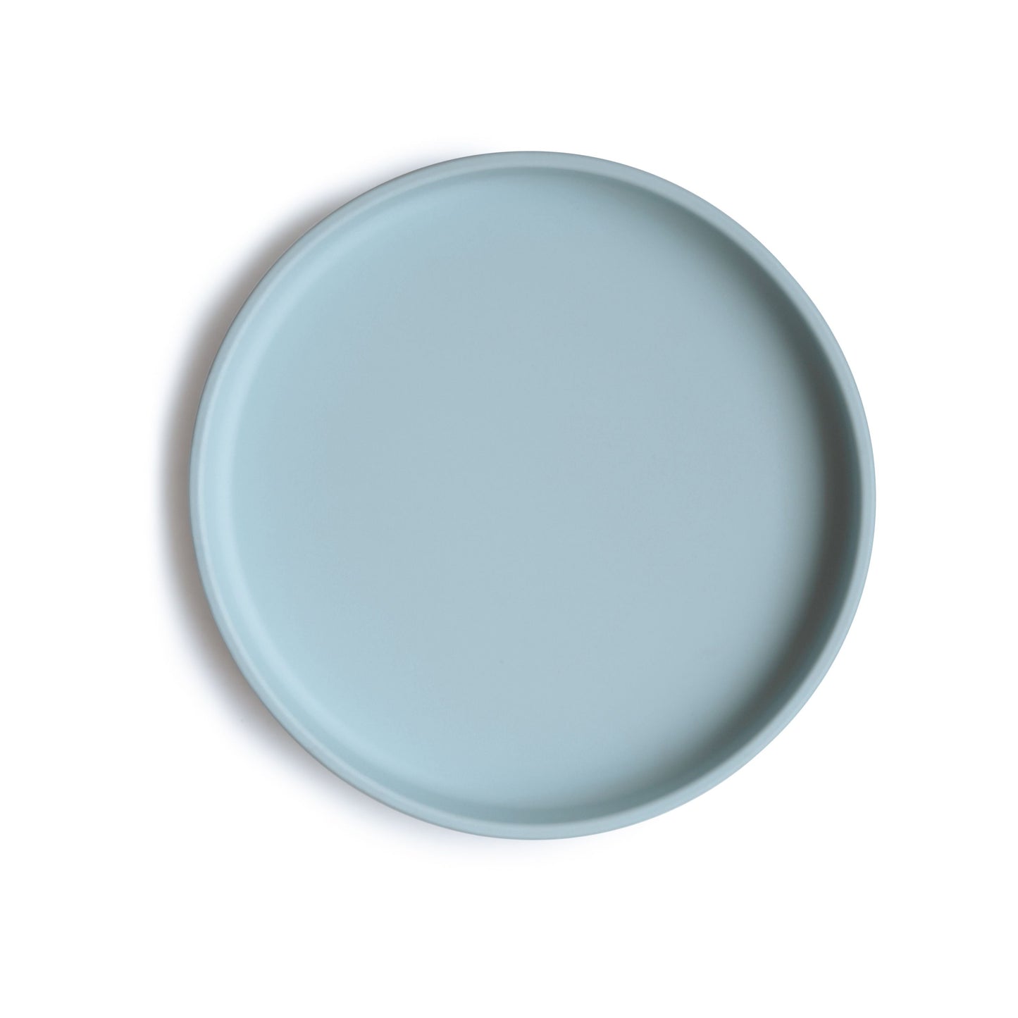 classic silicone suction plate